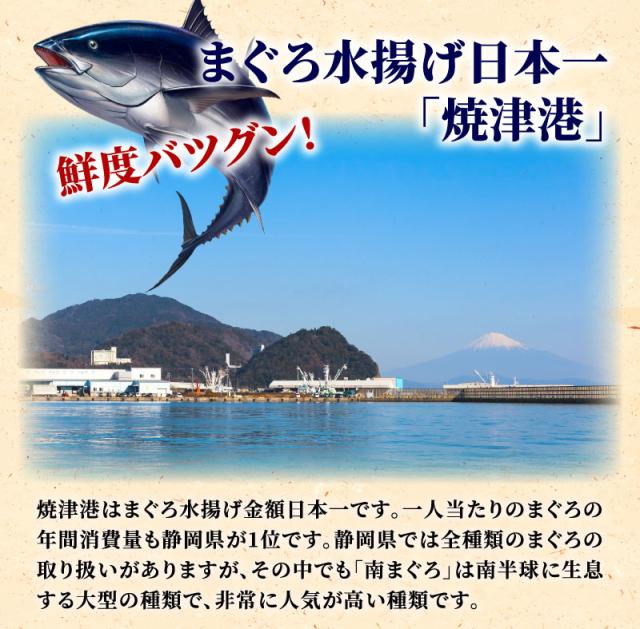 まぐろ水揚げ日本一焼津港