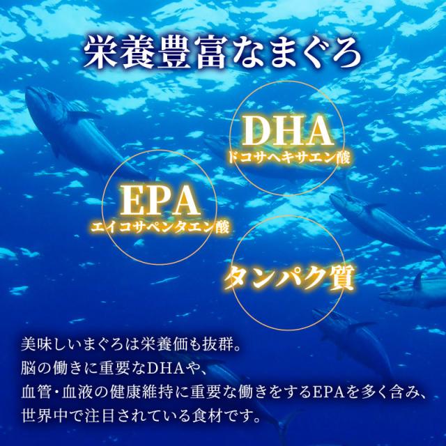 栄養豊富なまぐろ