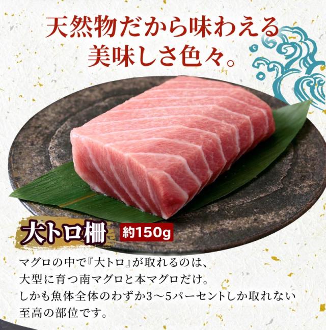 南まぐろ三昧内容1