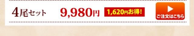 4尾セット