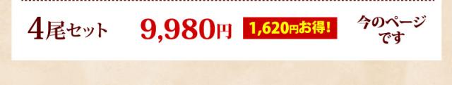 4尾セット