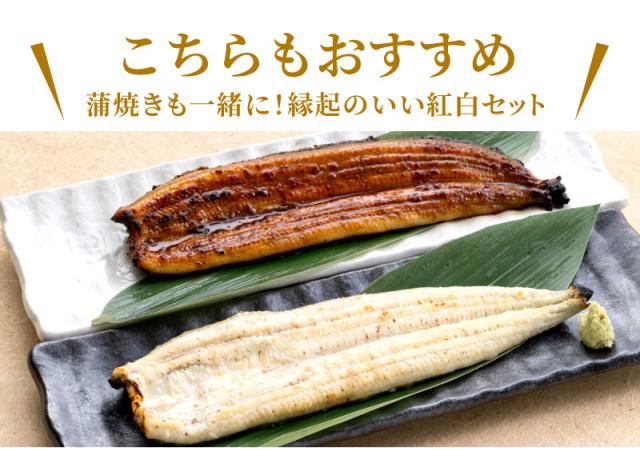 こちらもお勧め!紅白うなぎ