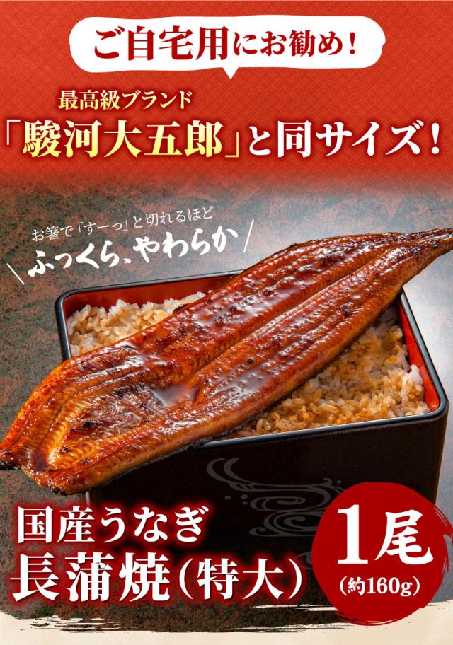 国産うなぎ長蒲焼（特大）1尾