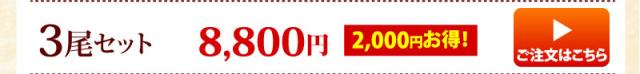 白焼き3尾