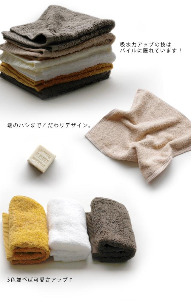 ファーンの特徴