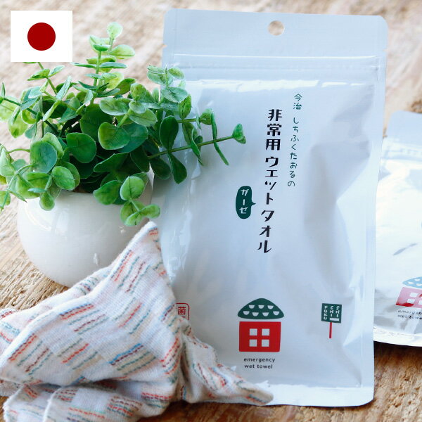 非常用ウェットハンカチ