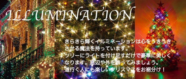 人気再入荷 Ledライト100球ウォームホワイト 送料無料 クリスマスツリー クリスマスライト Ledライト 屋外用 正規店仕入れの Arnabmobility Com