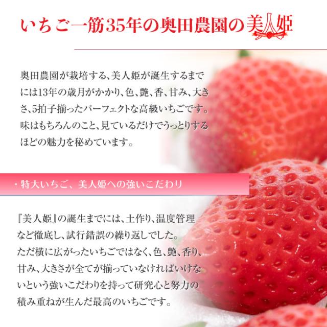 驚きの価格が実現 要冷蔵 美人姫 化粧箱 一粒45g前後 12粒 特大サイズ 高糖度 イチゴ 苺 Dx 岐阜県産 いちご 最高級ブランドいちご