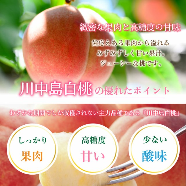 国産最新品 川中島白桃 山梨県産 川中島 最良品の桃をお届け ピの通販はau PAY マーケット - ナチュラルストア|商品ロットナンバー:507529513 山梨の桃 もも 桃 白桃 約5kg 18〜20玉 中小玉サイズ 国産
