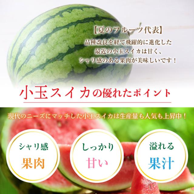 公式通販 最短順次発送 こだまスイカ 小玉スイカ Lサイズ 5玉 西瓜 茨城 新潟 山形 秋田県産他 箱買い ギフト お盆 お中元 御中元 暑中見舞い 通 再入荷 Diquinsa Com Mx