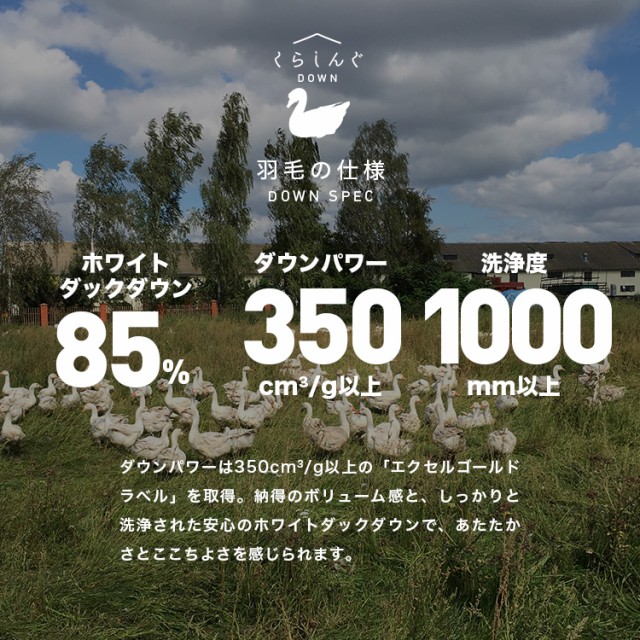 本物保証お得 羽毛布団 ダブルサイズ エクセルゴールドラベル ホワイトダックダウン85% 日本製 国産 送料無料 ダウンパワー350以上 無地 ナチュラル の通販はau PAY マーケット - 河村ふとん店|商品ロット 大得価限定SALE