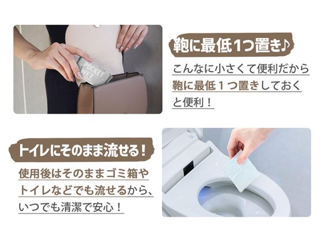 あさみみちゃんポケットウェット