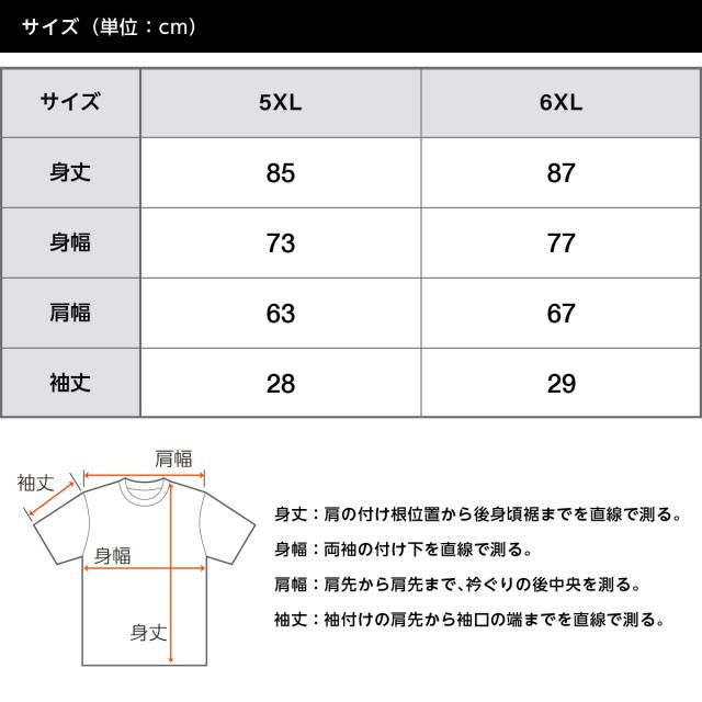 ドライアスレチックTシャツ