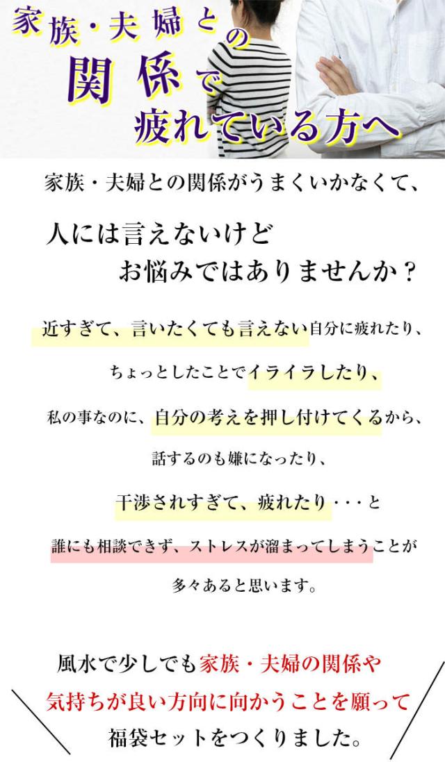 セール品 送料無料 家族 夫婦の人間関係円満福袋 風水 麒麟 置物 風水グッズ 開運祈願 対人運祈願 ラッキーバッグ 福袋 21 目玉 送料無料 Www Centrodeladultomayor Com Uy