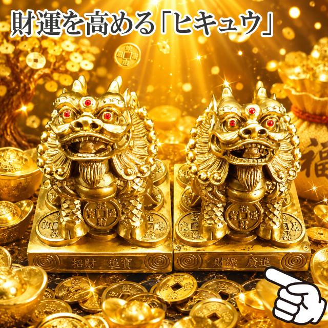 ヒキュウ
