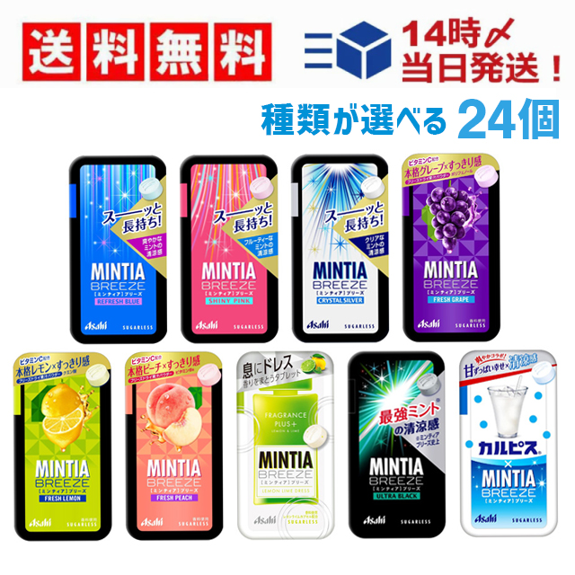 ミンティア各種