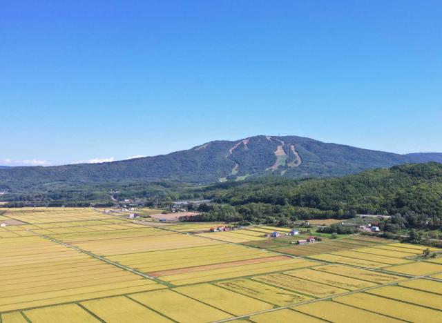 上川空知の田園風景
