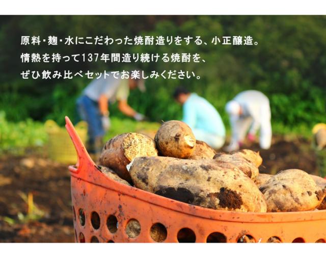 137年間焼酎を作り続ける小正醸造です