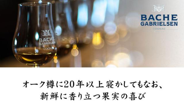 バッシュ ガブリエルセン ファンボワ 1992