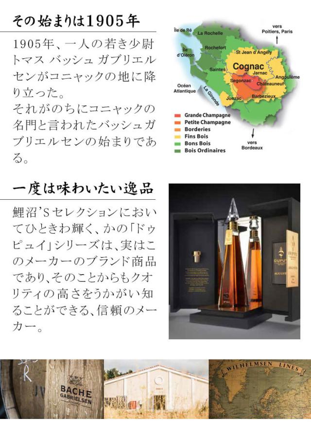 バッシュ ガブリエルセン ファンボワ 1992の歴史