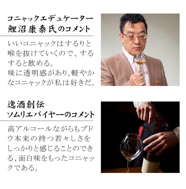 バッシュ ガブリエルセン ファンボワ 1992鯉沼氏コメント