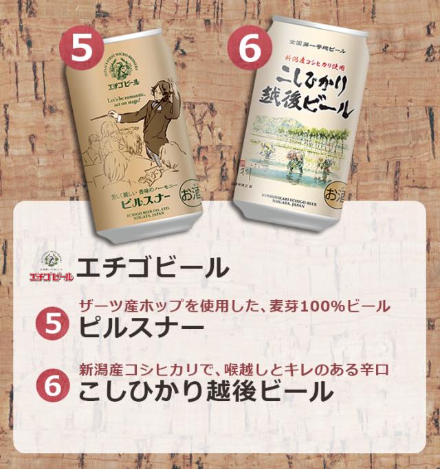 クラフトビール飲み比べ 12本セット・エチゴビール
