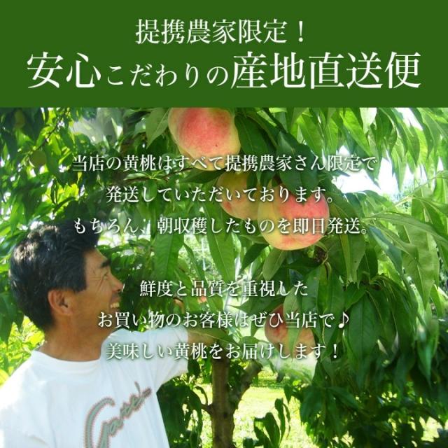 こだわりの産地直送