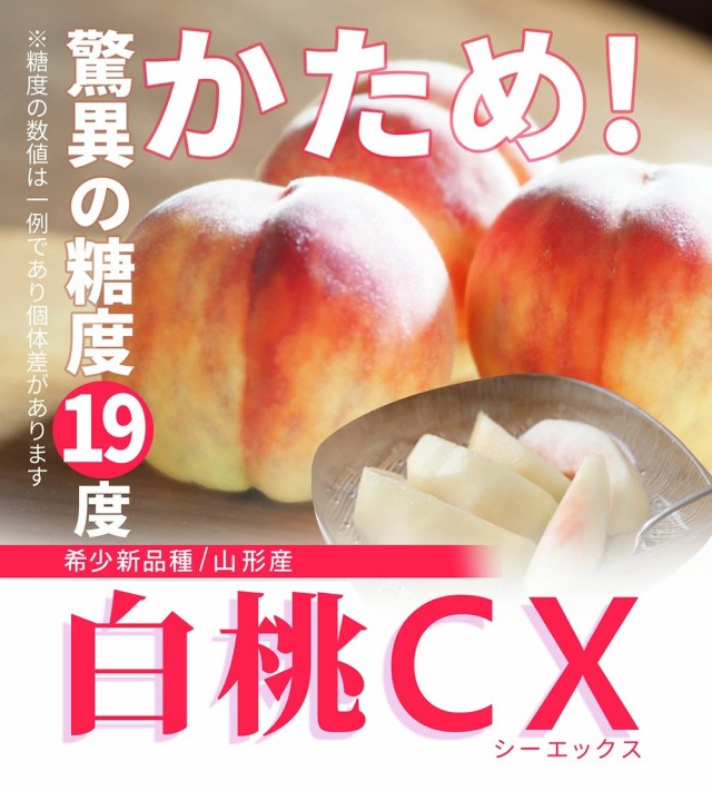 【2024年9月下旬発送・先行早割】硬い桃 白桃 秀品 白桃CX 2.5kg 山形県産 送料無料 固い桃 かたい桃 かため 硬め 期間限定 産地直送  山｜au PAY マーケット