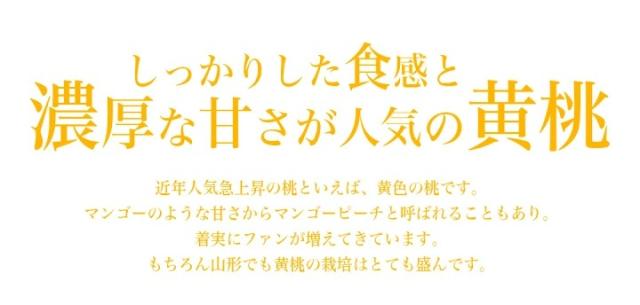 濃厚な甘さ 人気 黄桃