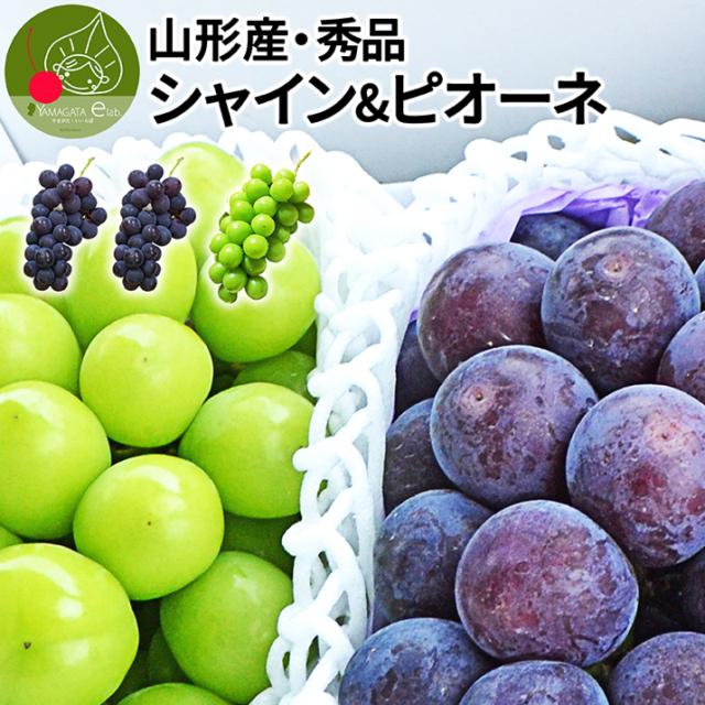 山形のぶどう サムネ