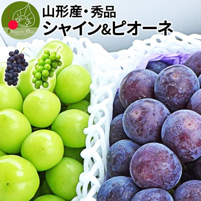 山形のぶどう サムネ