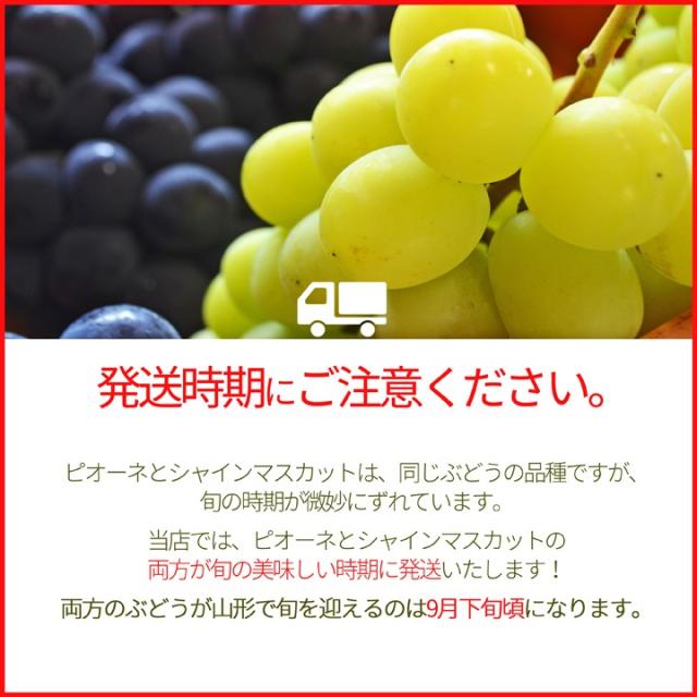 生産者から産地直送