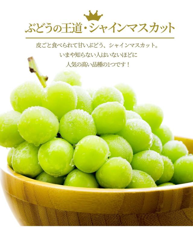 ぶどうの王道シャインマスカット 人気の高い品種