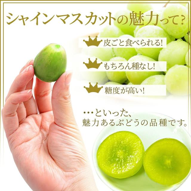 シャインマスカットの魅力