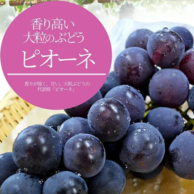 香り高い大粒のぶどう ピオーネ