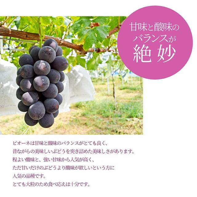 甘みと酸味のバランスが絶妙