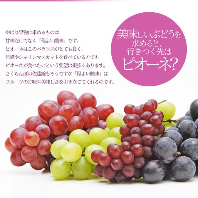 美味しいぶどう