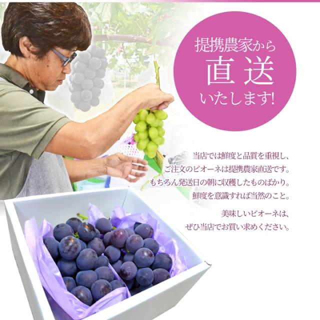 産地直送します