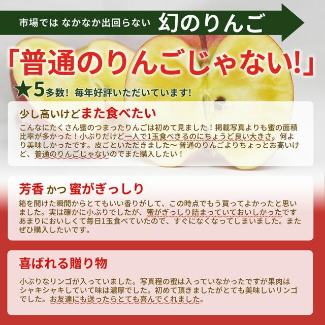 毎年人気 レビュー