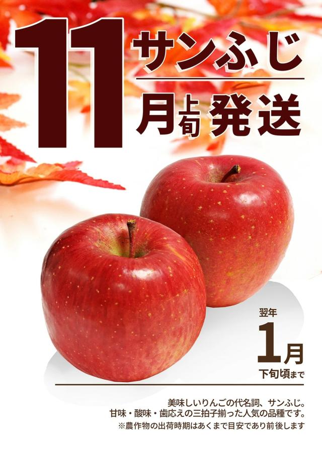 発送開始! 山形のりんご 王道りんご サンふじ