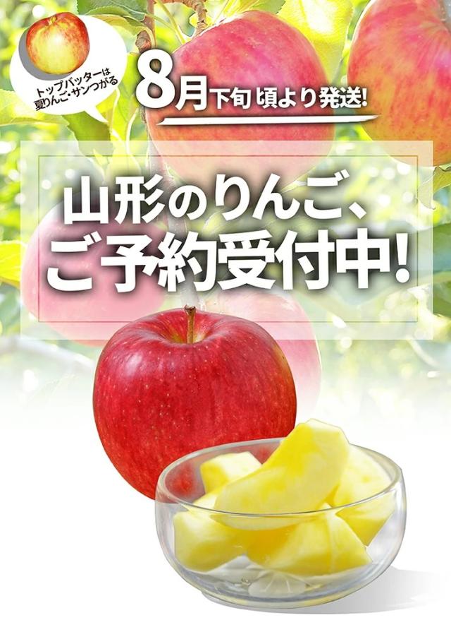 ご予約受付中 8月下旬よりサンつがる