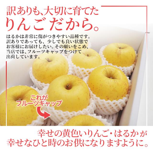 訳ありも大切に育てたりんご