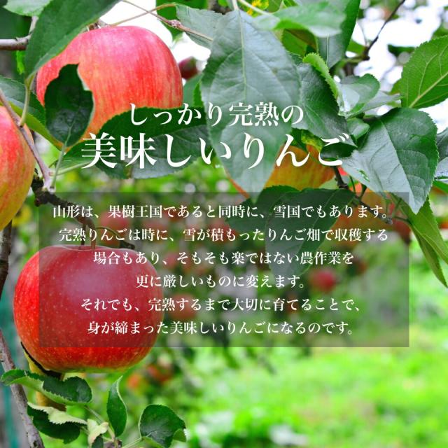 サンふじ&はるか