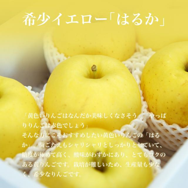 サンふじ&はるか