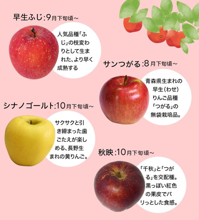 早生ふじ 9月下旬〜 サンつがる8月下旬〜 シナノゴールド 10月下旬〜 秋映 10月下旬〜