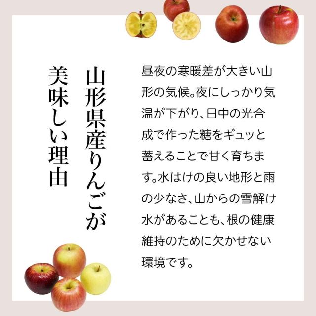 山形県産リンゴが美味しい理由 昼夜の寒暖差が大きい。