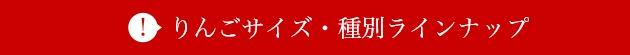 りんご ラインナップ