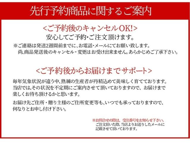 先行予約商品に関するご案内