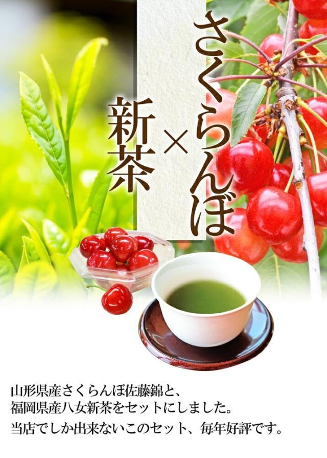 さくらんぼ × 新茶