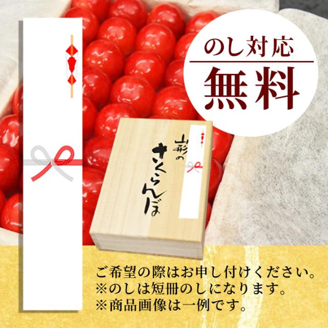 のしについて